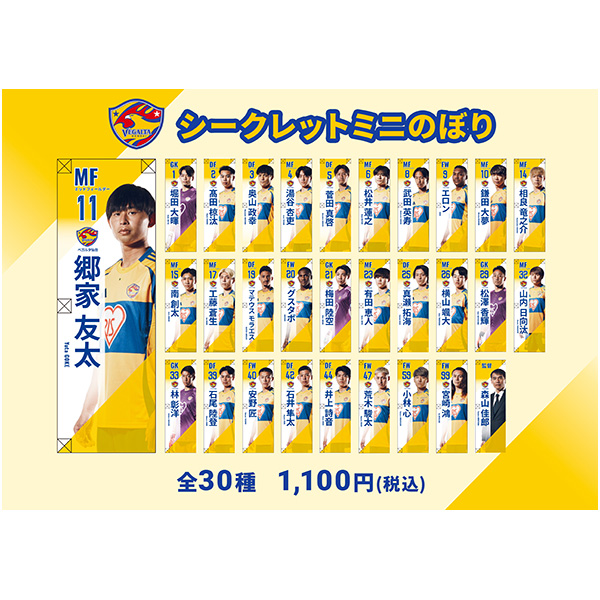 【シークレット】ミニのぼり