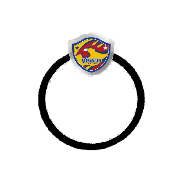 ヘアゴム（エンブレム）