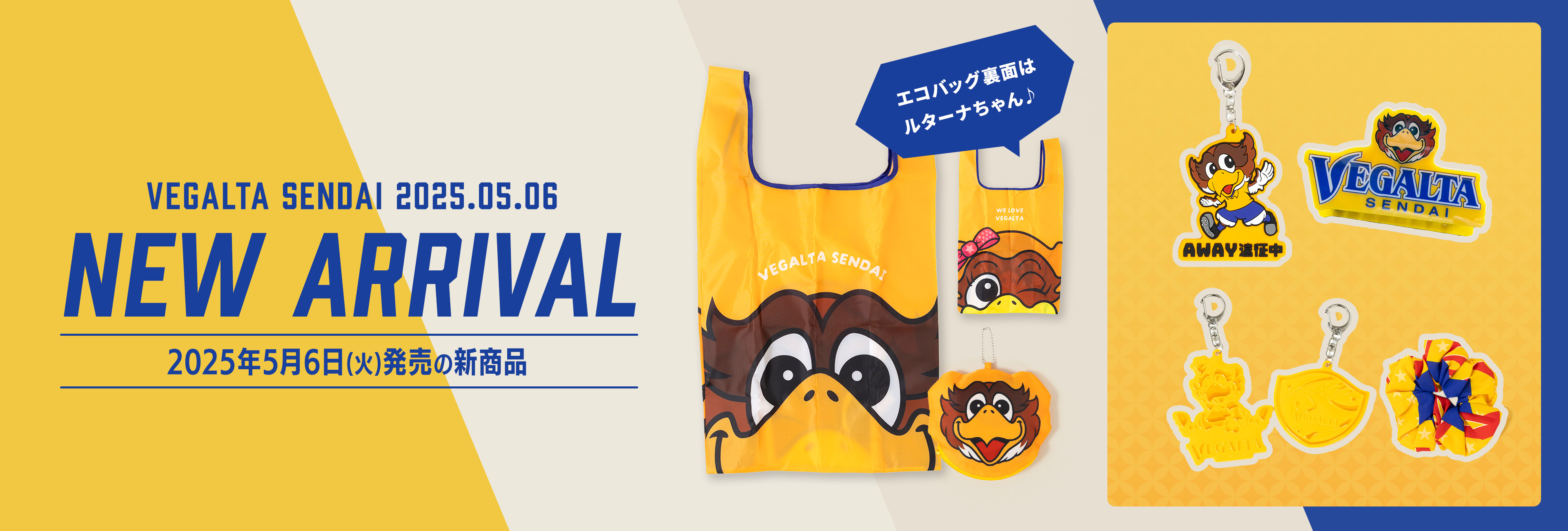 2025年5月6日(火)新着商品