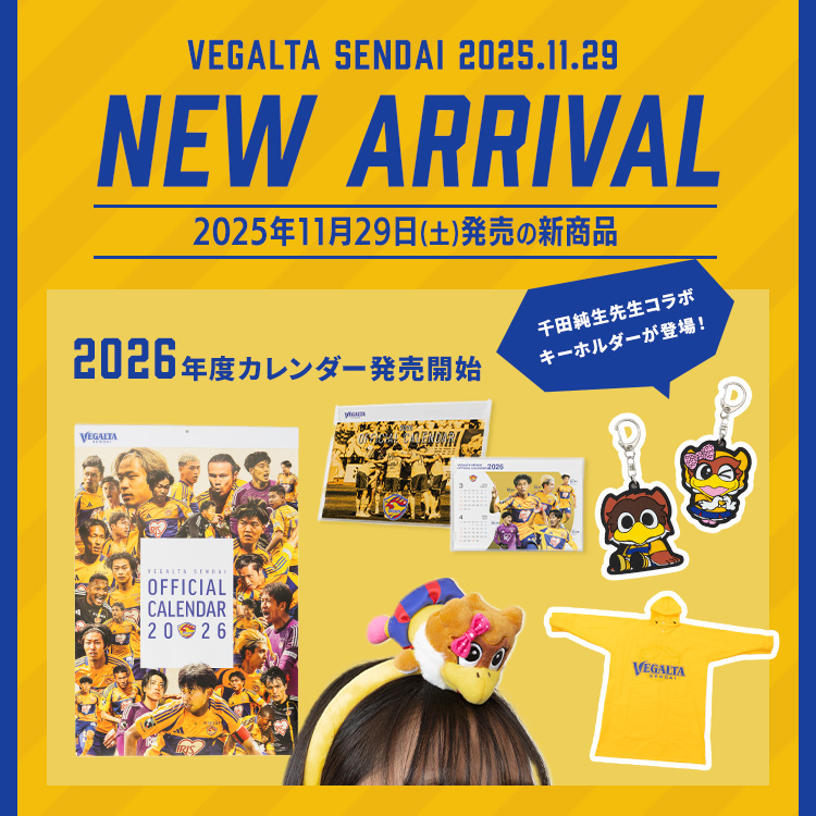 11月29日(土)新着商品